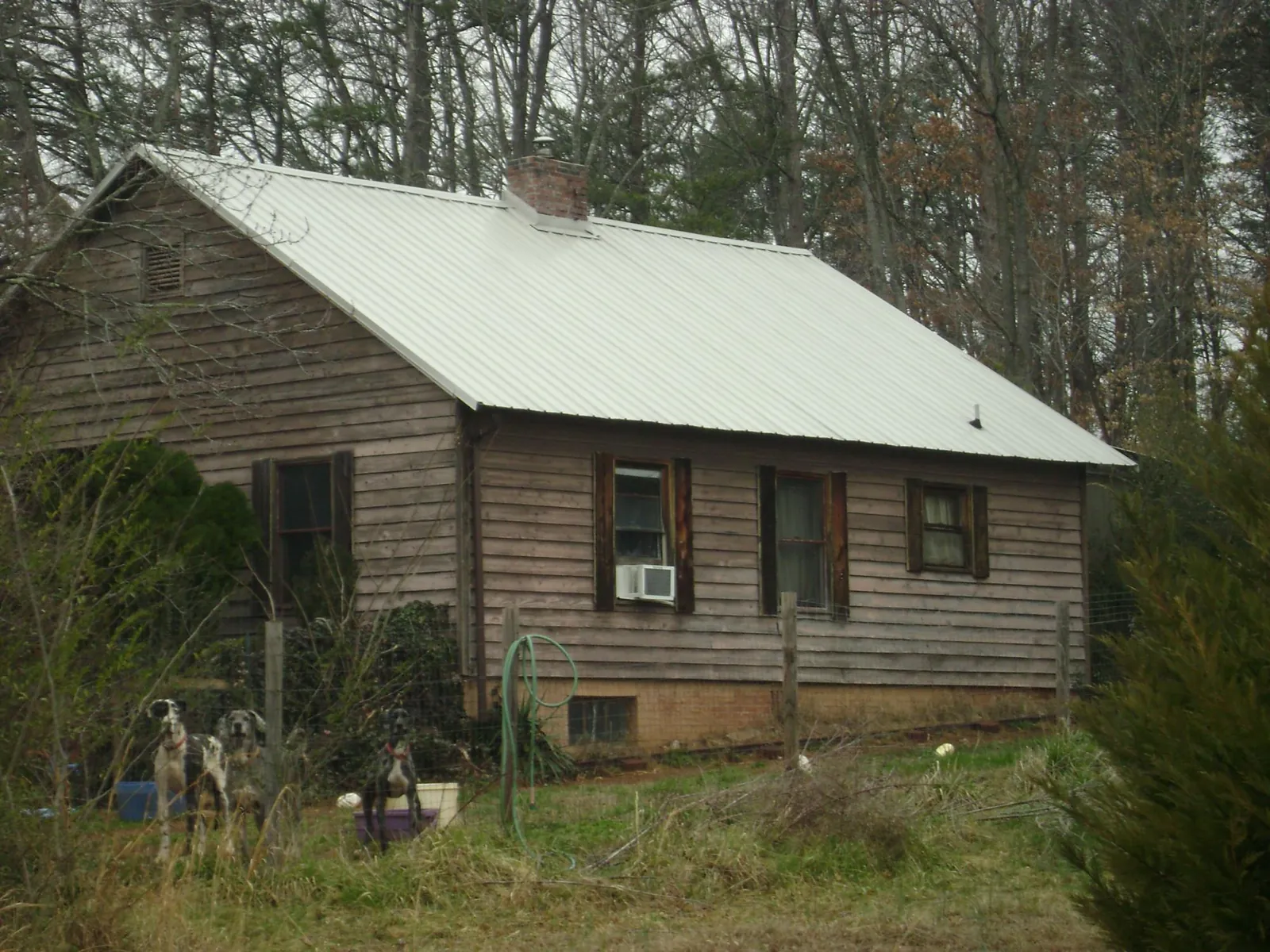 White metal roof on an old wood sided farmhouse, from a Asphalt Shingle Roof Repair job in Layton